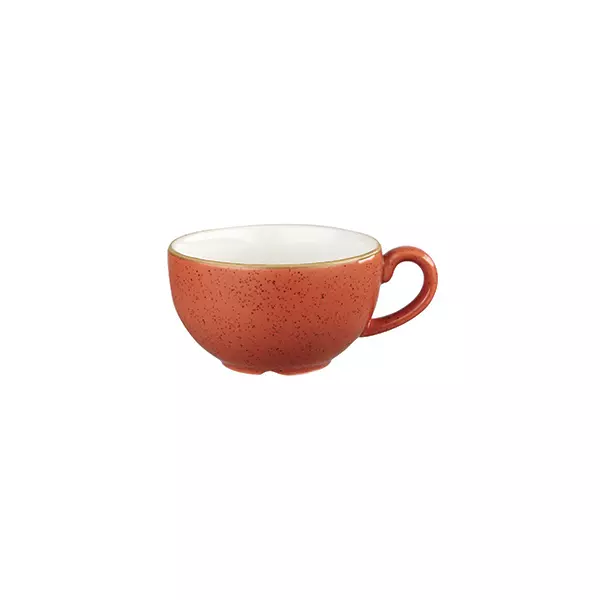 Stonecast by Churchill Cappuccino Cup & Saucer 227ml Spiced Orange