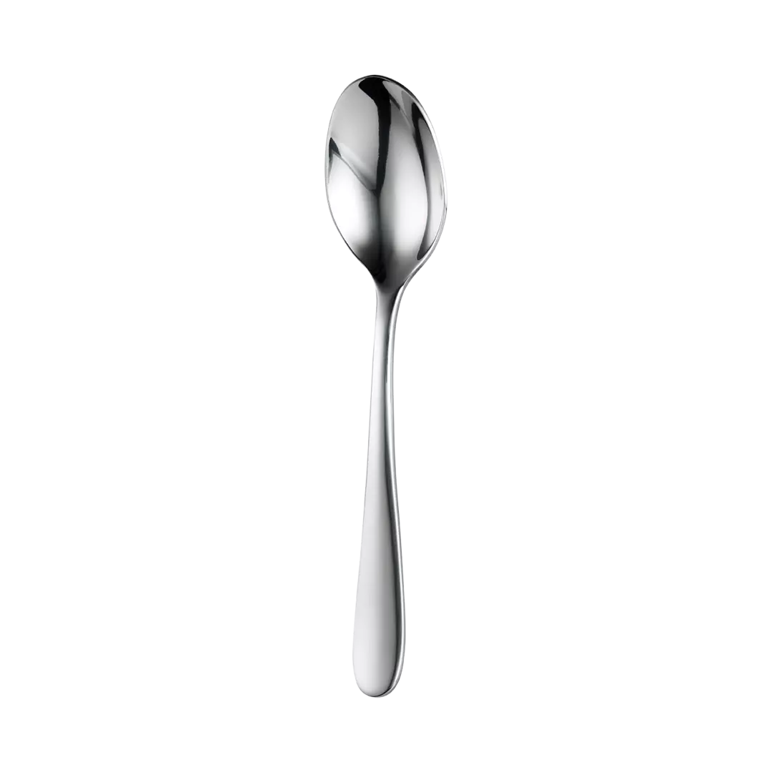 Trenton Cortina Table Spoon