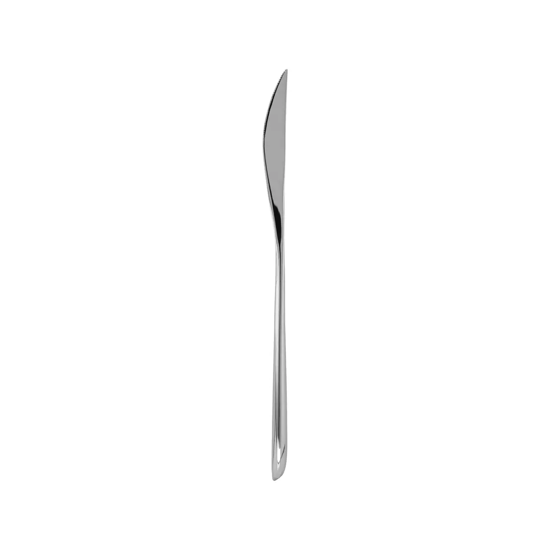 Fortessa Dragonfly Standing Table Knife