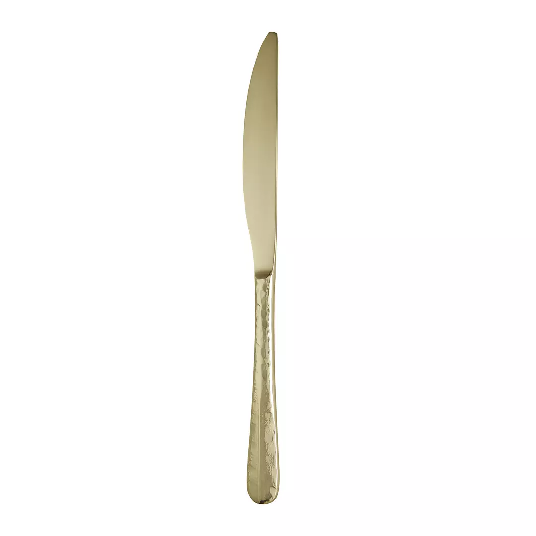 Trenton Table Knife Amsterdam Champagne