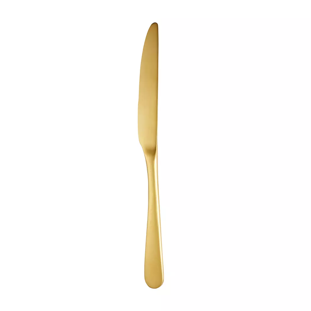 Trenton Miami Gold Table Knife