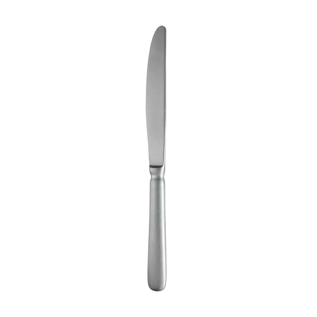 Trenton Table Knife Paris Vintage