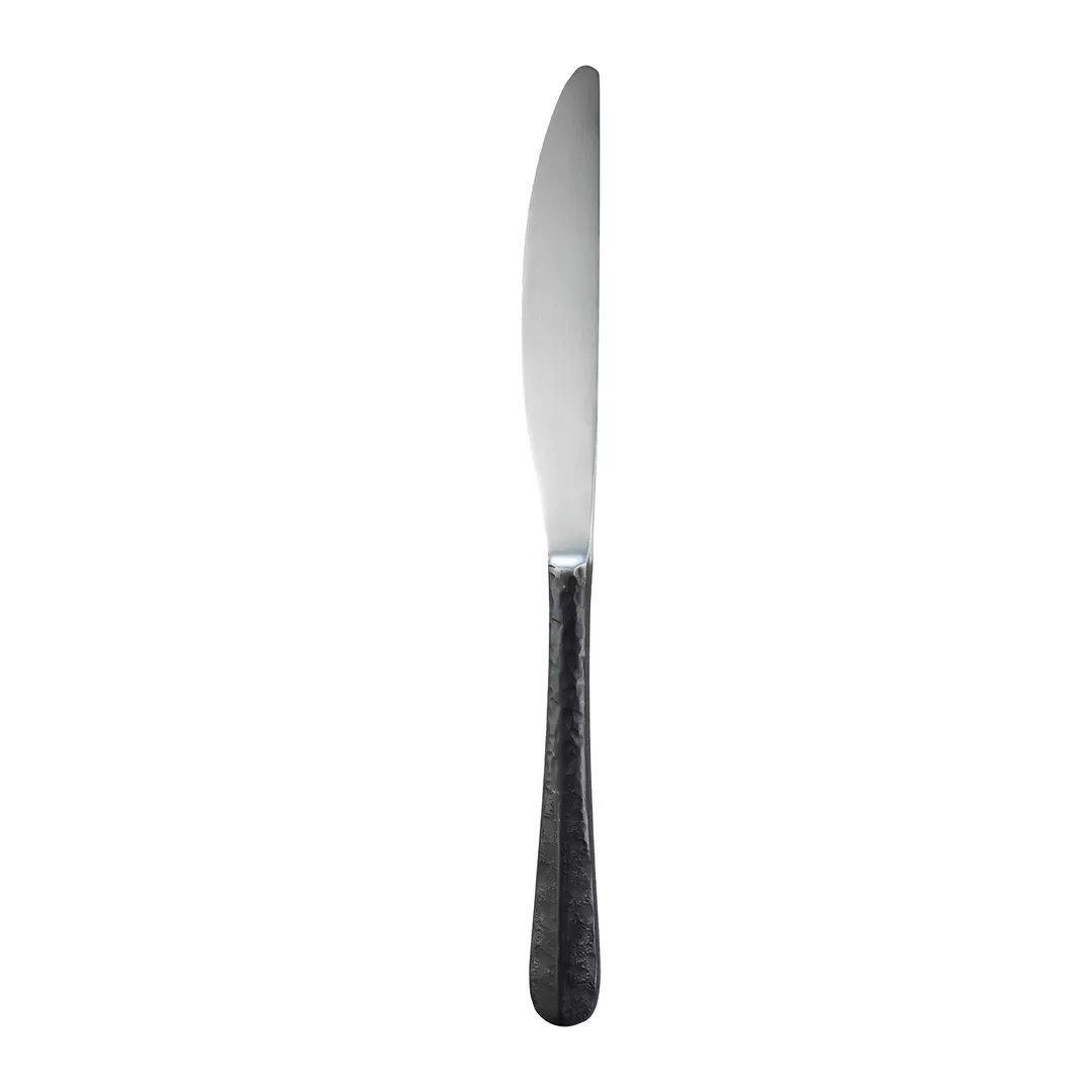 Trenton Table Knife Rio