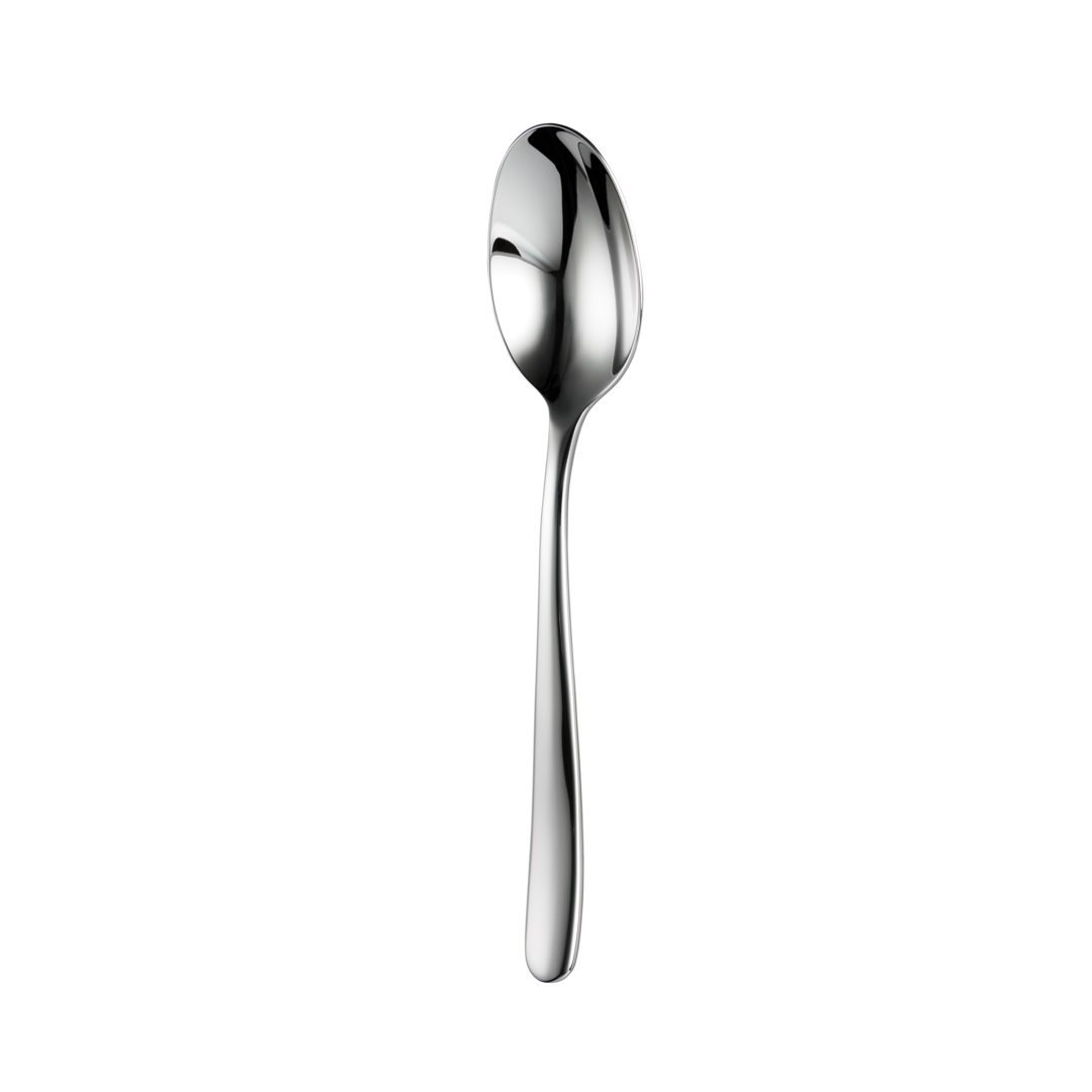 Trenton Dessert Spoon St Moritz