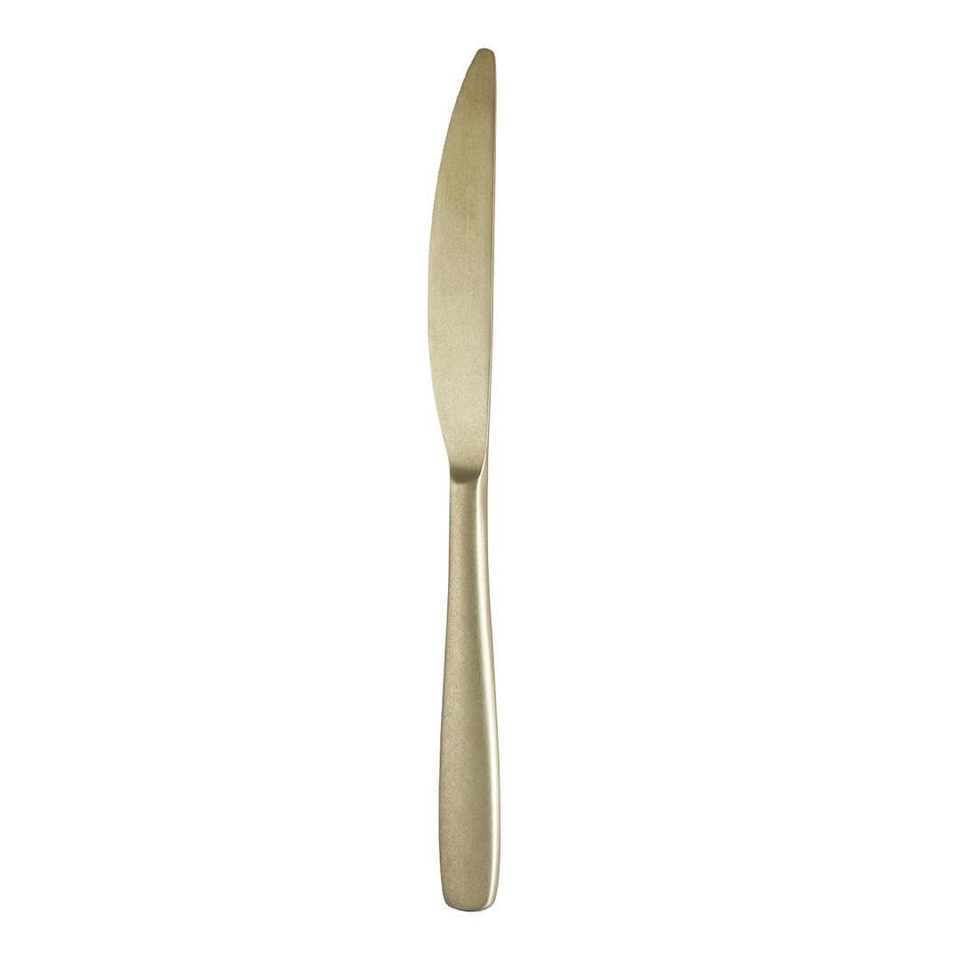 Trenton Table Knife Champagne