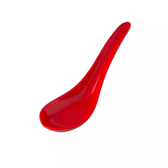 Chinese Spoon (91208-R)